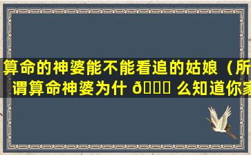 算命的神婆能不能看追的姑娘（所谓算命神婆为什 🐕 么知道你家的事）